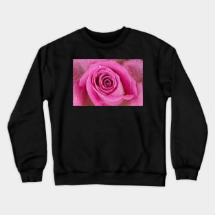 Close macro shot of a rose with water drops Crewneck Sweatshirt